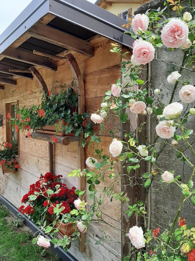 Appartamento Per Vacanze "Il Gelso" Rovereto  Exterior foto
